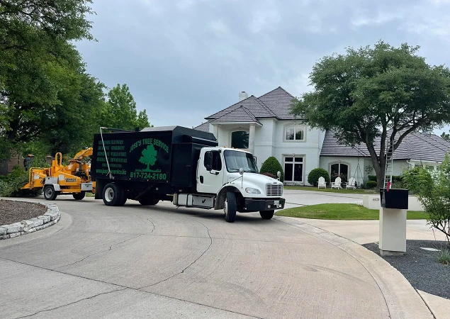 Tree Care in Benbrook, TX