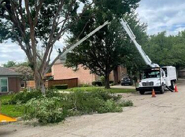 Tree removal equipment Benbrook