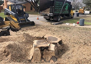 Stump Grinding