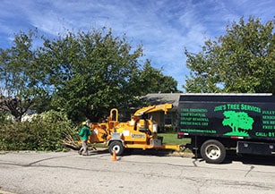 Tree and Brush Cleaning